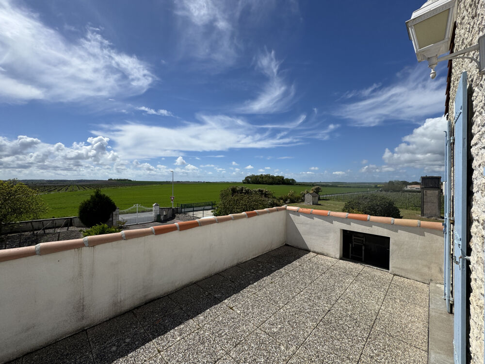 � vendre  Propri�t�/ch�teau M�dis (17600)