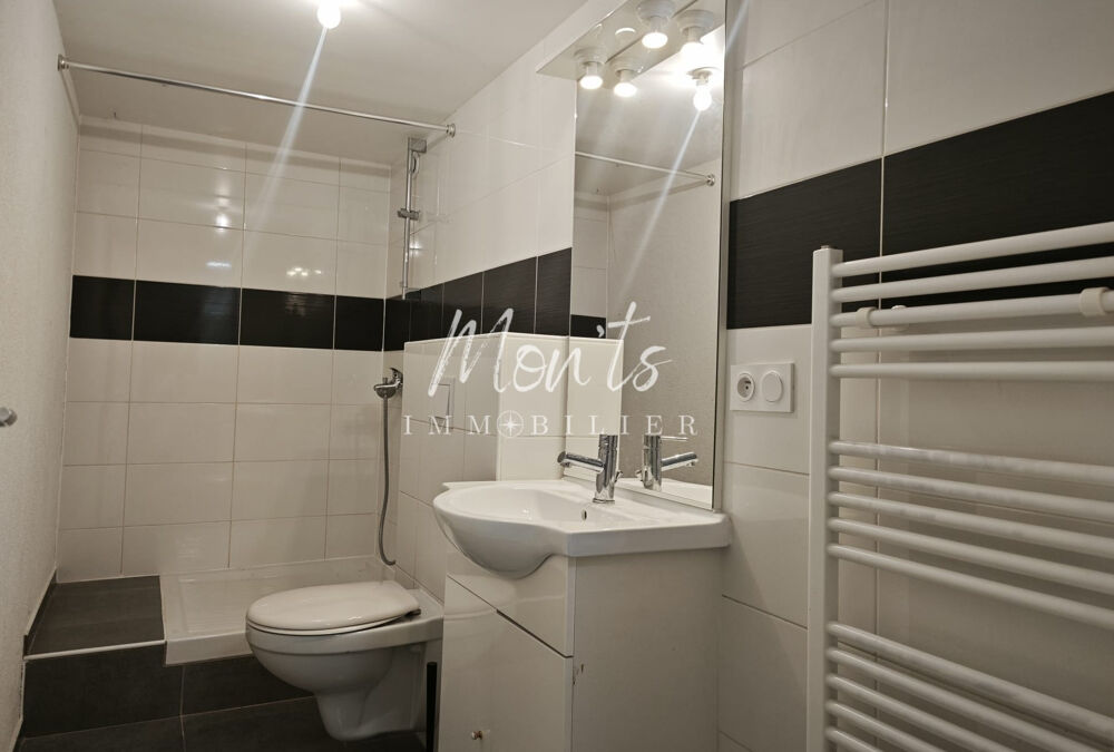Vente Appartement Opportunité d'investissement locatif ! Appartement T2 - CHEVRIER Chevrier