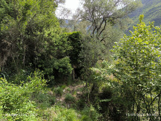 Terrain à vendre 5709 m²