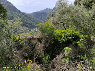  Terrain à vendre 5709 m²