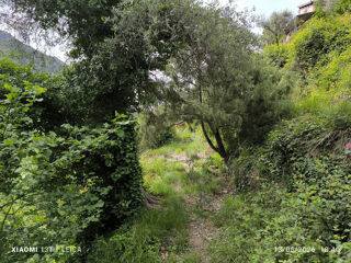  Terrain à vendre 5709 m²