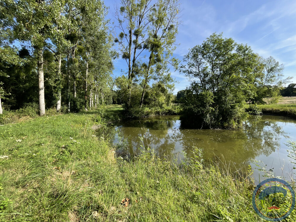 Vente Terrain TERRAIN AVEC ETANGS ET RIVIERE Tauxigny