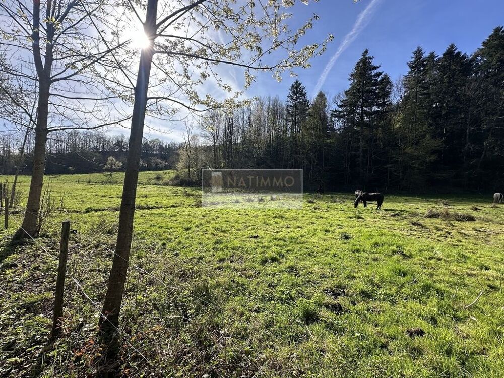 Ensemble immobilier à fort potentiel