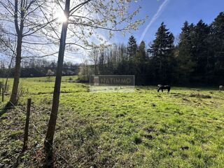  Maison à vendre 12 pièces 625 m²