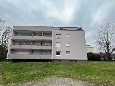 Appartement 1 pièce rénové avec balcon rue des Bonnes Gens à Illkirch 430 
