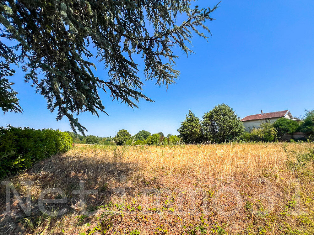 Vente Terrain grand terrain constructible Puylaurens