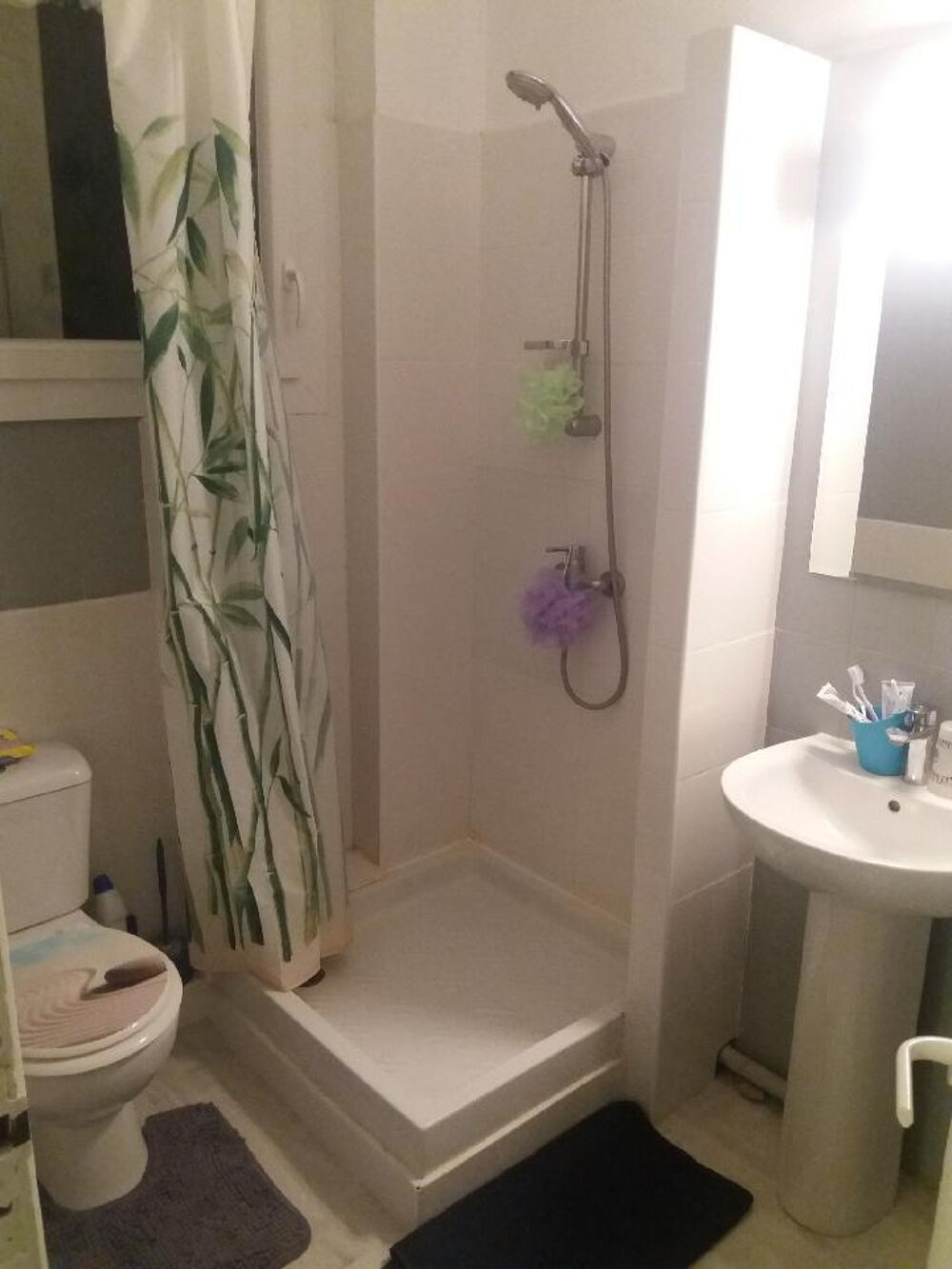 Location Appartement Appartement T1 bis meublé de 30 m2 avec parking Toulouse