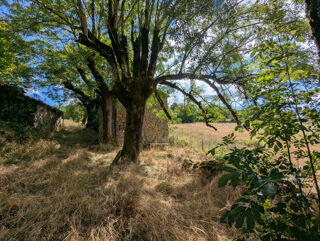  Ferme � vendre 6 pi�ces 200 m�