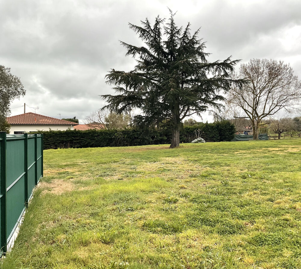 Vente Terrain Terrain constructible 500m2  Eaunes Eaunes