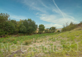  Terrain � vendre 1000 m� Cambon les lavaur