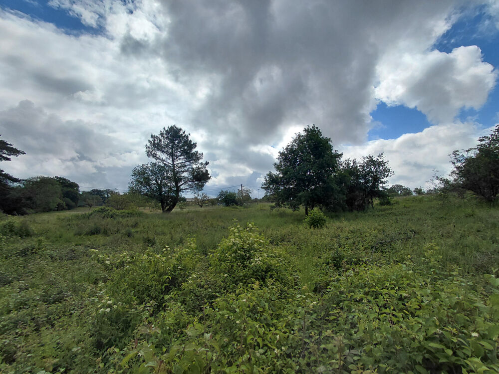 Vente Terrain Limeyrat : terrain 4800 m2 à acheter avec NETO-IMMO Limeyrat