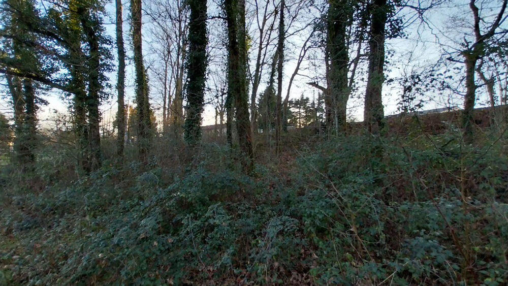 Vente Terrain Château l'évêque - Terrain à bâtir boisé  1900 m2 Chateau l eveque