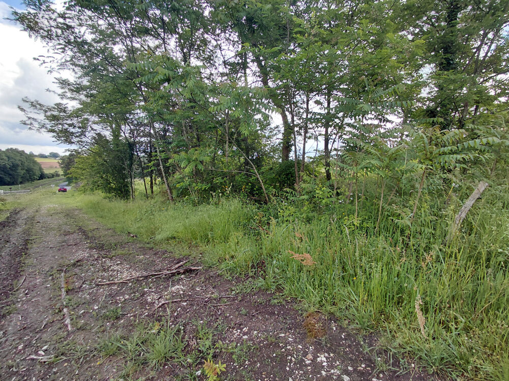 Vente Terrain Limeyrat : terrain 4800 m2 à acheter avec NETO-IMMO Limeyrat