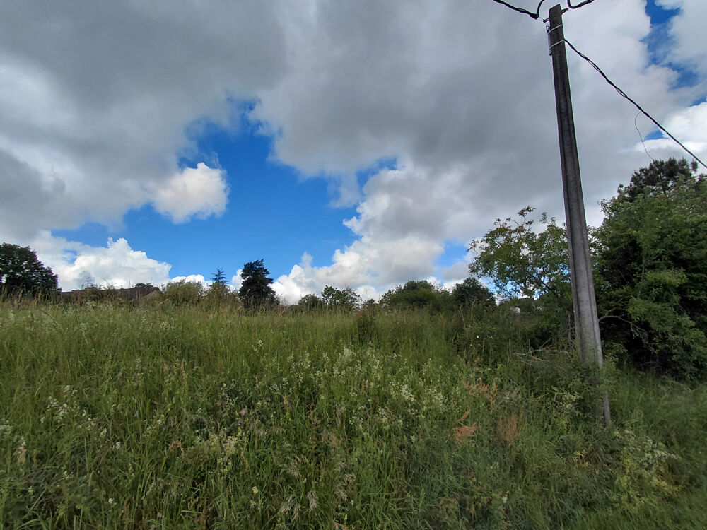 Vente Terrain Limeyrat : terrain 4800 m2 à acheter avec NETO-IMMO Limeyrat