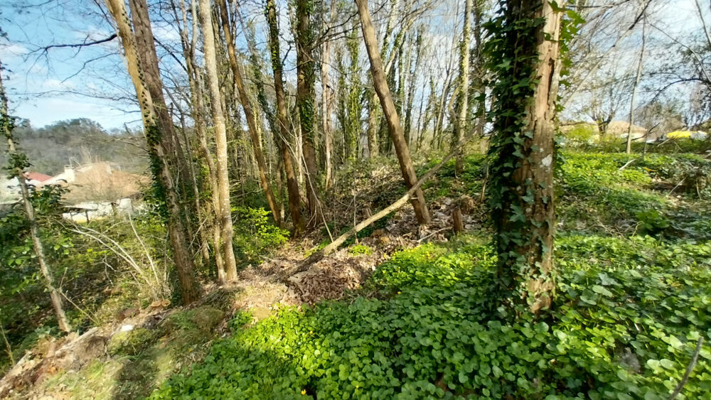 Vente Terrain Terrain constructible Boisé 2500 m2 à CHANCELADE Chancelade