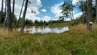 Terrain à vendre 1 pièce 35940 m²