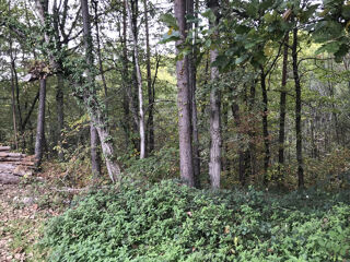  Terrain � vendre 3493 m�