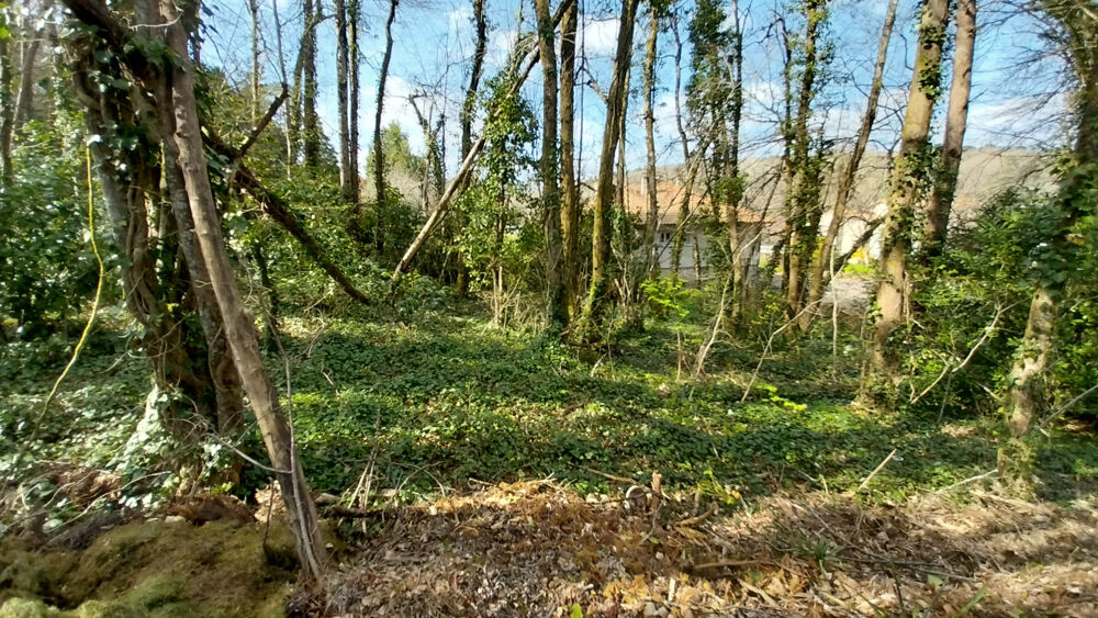 Vente Terrain Terrain constructible Boisé 2500 m2 à CHANCELADE Chancelade