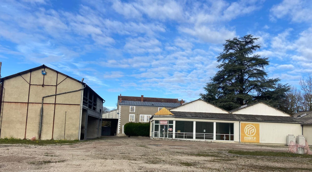 Vente Autre Ensemble immobilier à Tonnerre Tonnerre