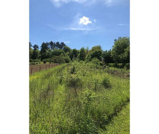  Terrain à vendre 3010 m²