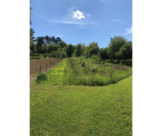  Terrain à vendre 3010 m²