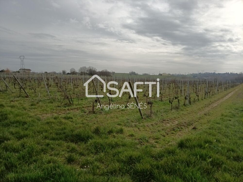 Vente Terrain Vignes cote de Bourg certifi BIO dont 40% de jeune vignes Lansac