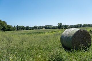  Terrain  vendre 59536 m