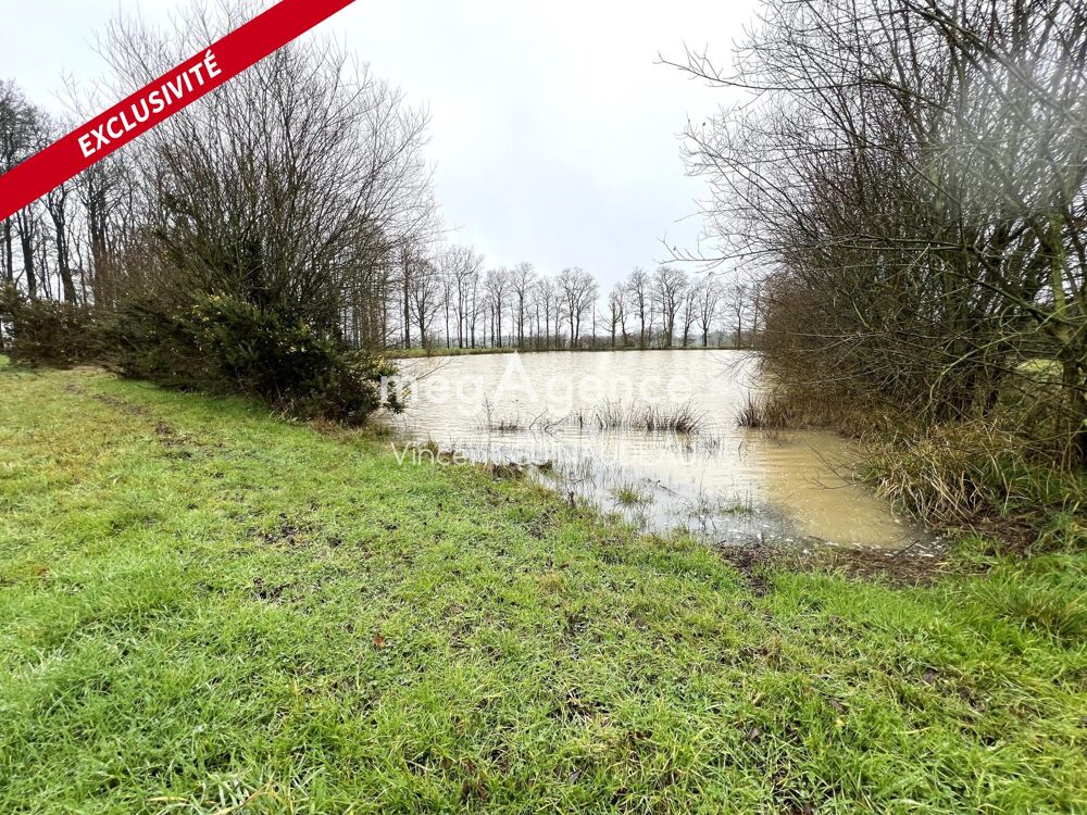 Vente Terrain Etang Saint-lger-sous-cholet