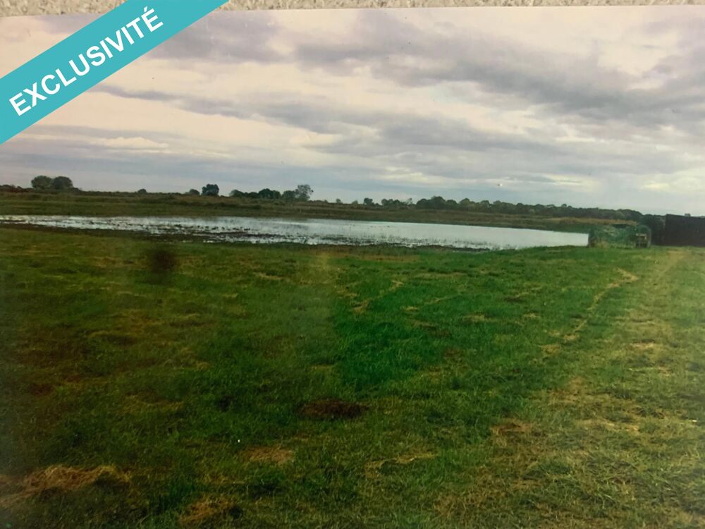 Vente Terrain Terrain de chasse aux gibiers d'eau avec tonne Braud-et-saint-louis