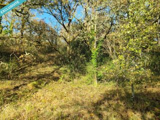  Terrain  vendre 2041 m