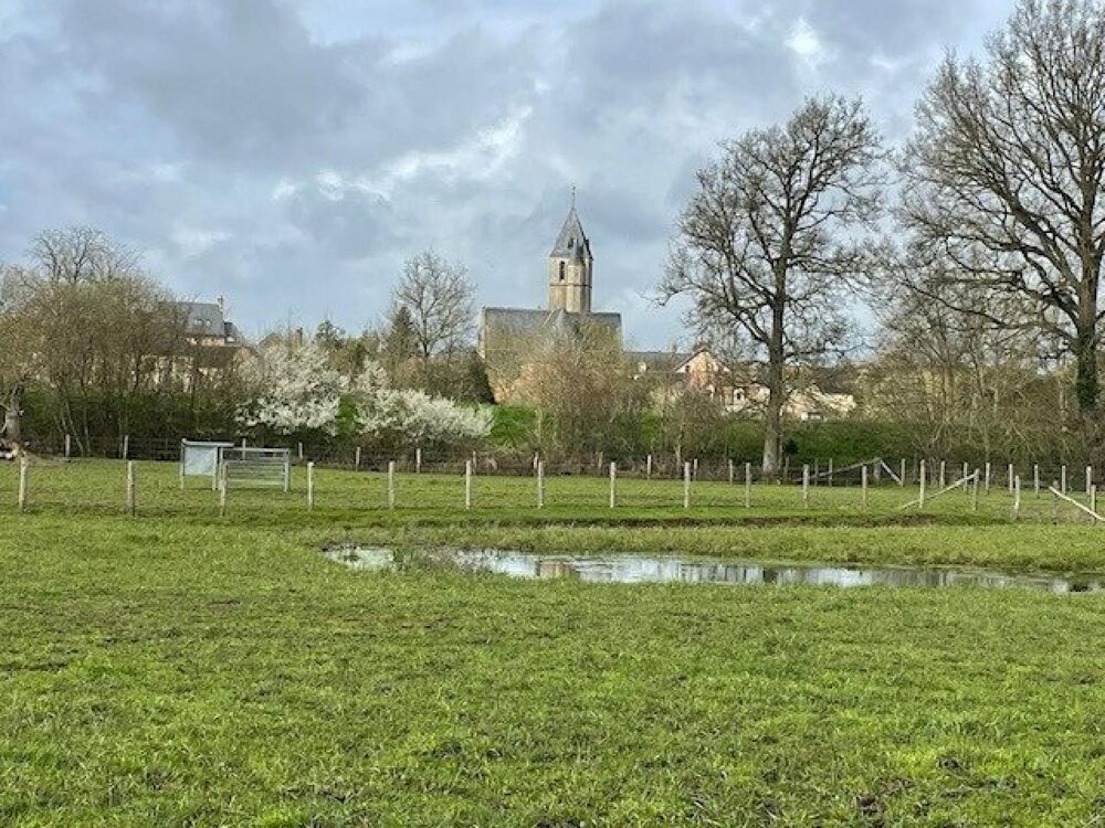 Vente Maison Idal chevaux, marachage, permaculture ou gite. Noyen-sur-sarthe