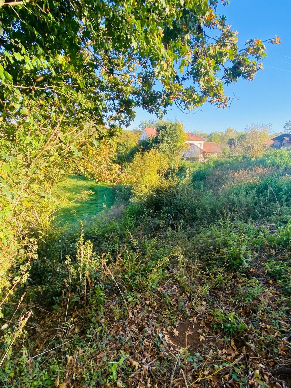 Vente Terrain Terrain constructible de 1345 m Charnay