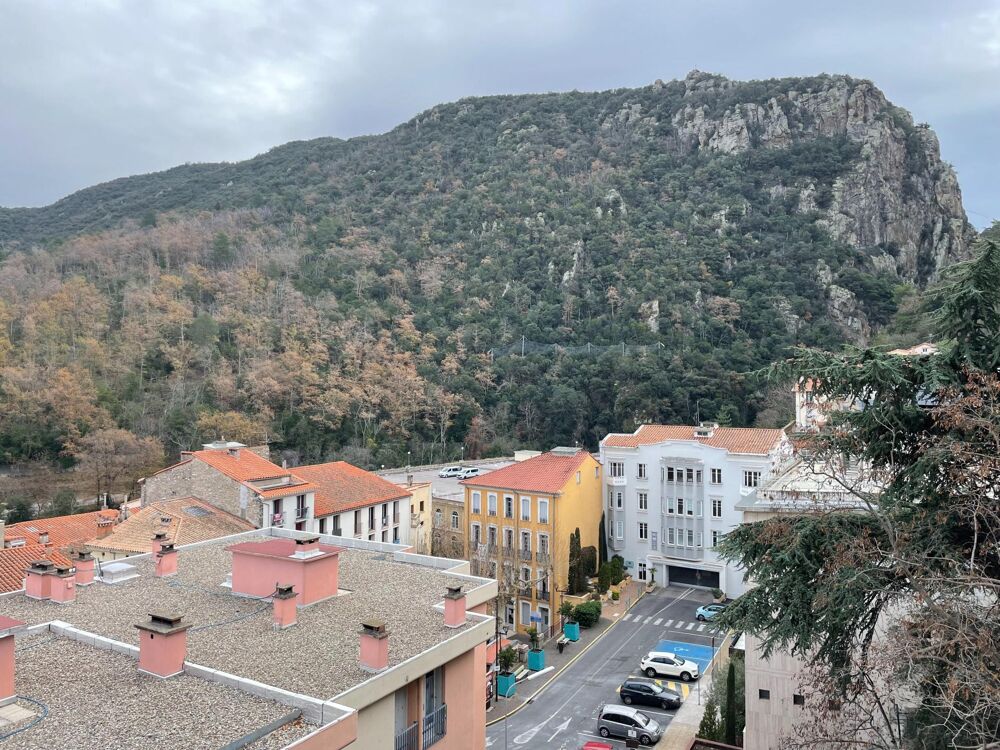 Vente Appartement Appartement type Studio, au pied des Thermes d'Amlie les Bains. Amelie-les-bains-palalda