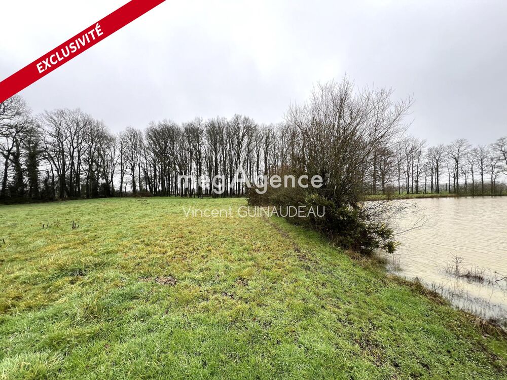 Vente Terrain Etang Saint-lger-sous-cholet