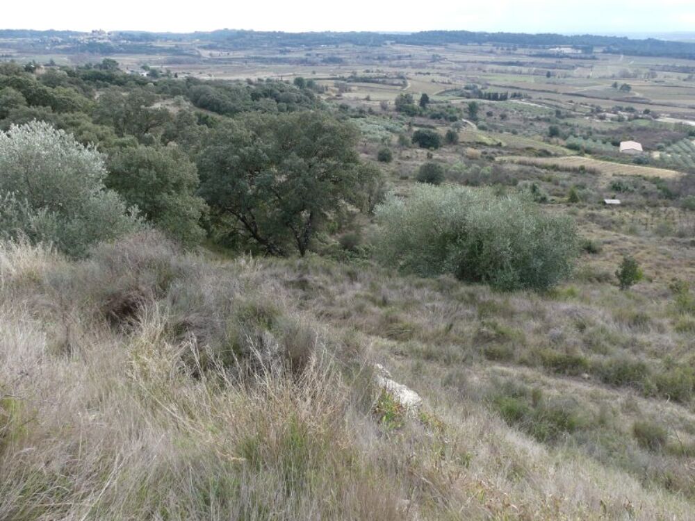 Vente Terrain Grand terrain de loisir 4270 m2 Saint-pargoire