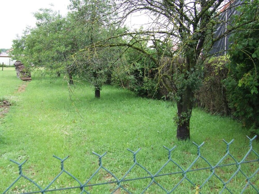 Vente Terrain Beau terrain constructible dans village recherch ! Bar-le-duc