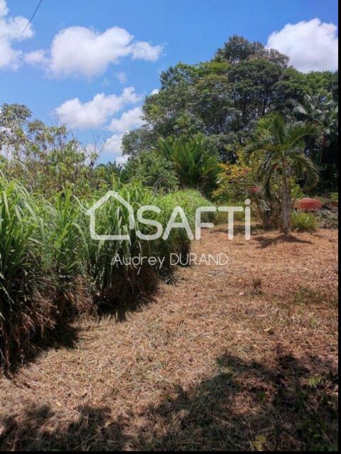 TERRAIN AGRICOLE 90000 Montsinry-Tonnegrande (97356)