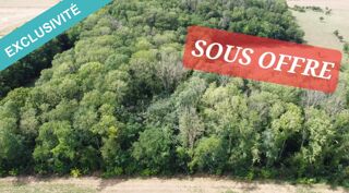  Terrain  vendre 19999 m Villacourt