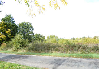  Terrain � vendre 1308 m� St laurent de ceris