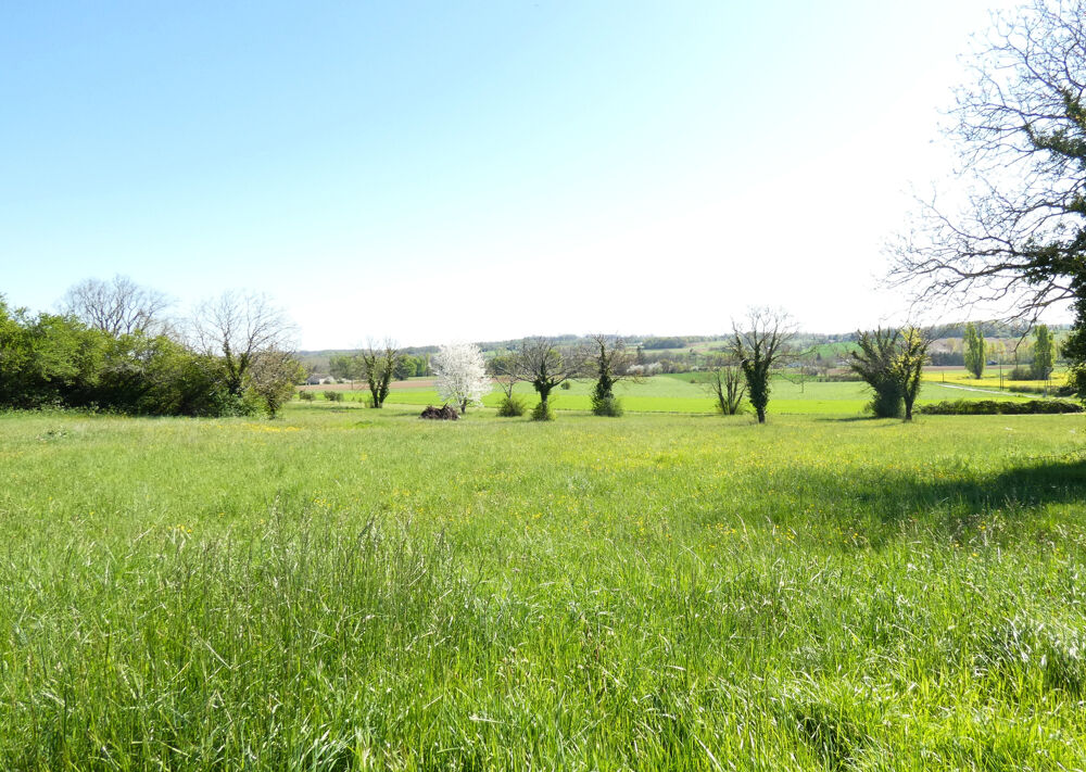 Vente Terrain Terrain divisible avec vue   12 124 m2 dont environ 7 000 m2 constructibles   Secteur recherch St privat des pres