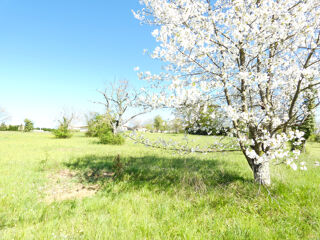  Terrain � vendre 12124 m� St privat des pres