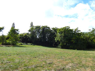  Terrain  vendre 1196 m