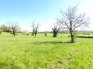  Terrain  vendre 12124 m