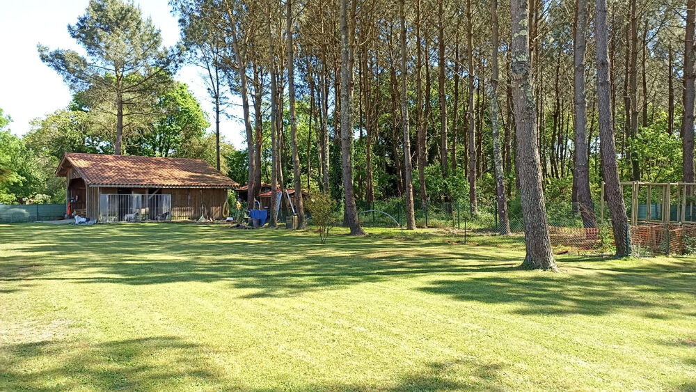  vendre  Proprit/chteau Parentis-en-Born (40160)