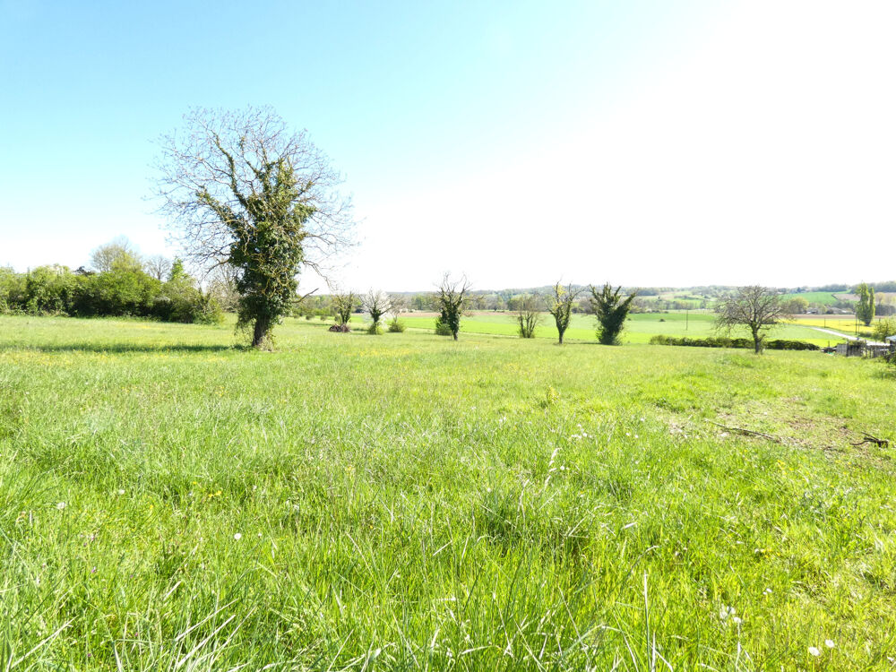 Vente Terrain Terrain divisible avec vue   12 124 m2 dont environ 7 000 m2 constructibles   Secteur recherch St privat des pres