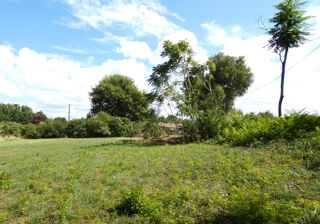  Terrain  vendre 1196 m