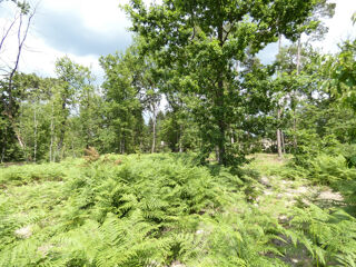  Terrain  vendre 1216 m