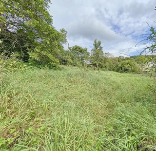  Terrain � vendre 470 m� Chavigny