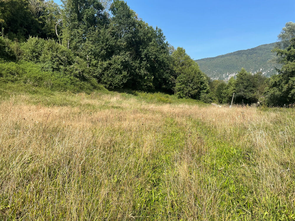 Vente Terrain EXCLUSIVITE St alban de montbel