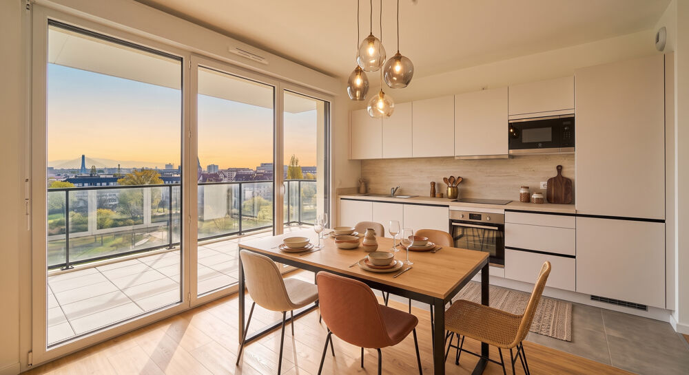 Appartement 4 pièces vue sur le Rhin